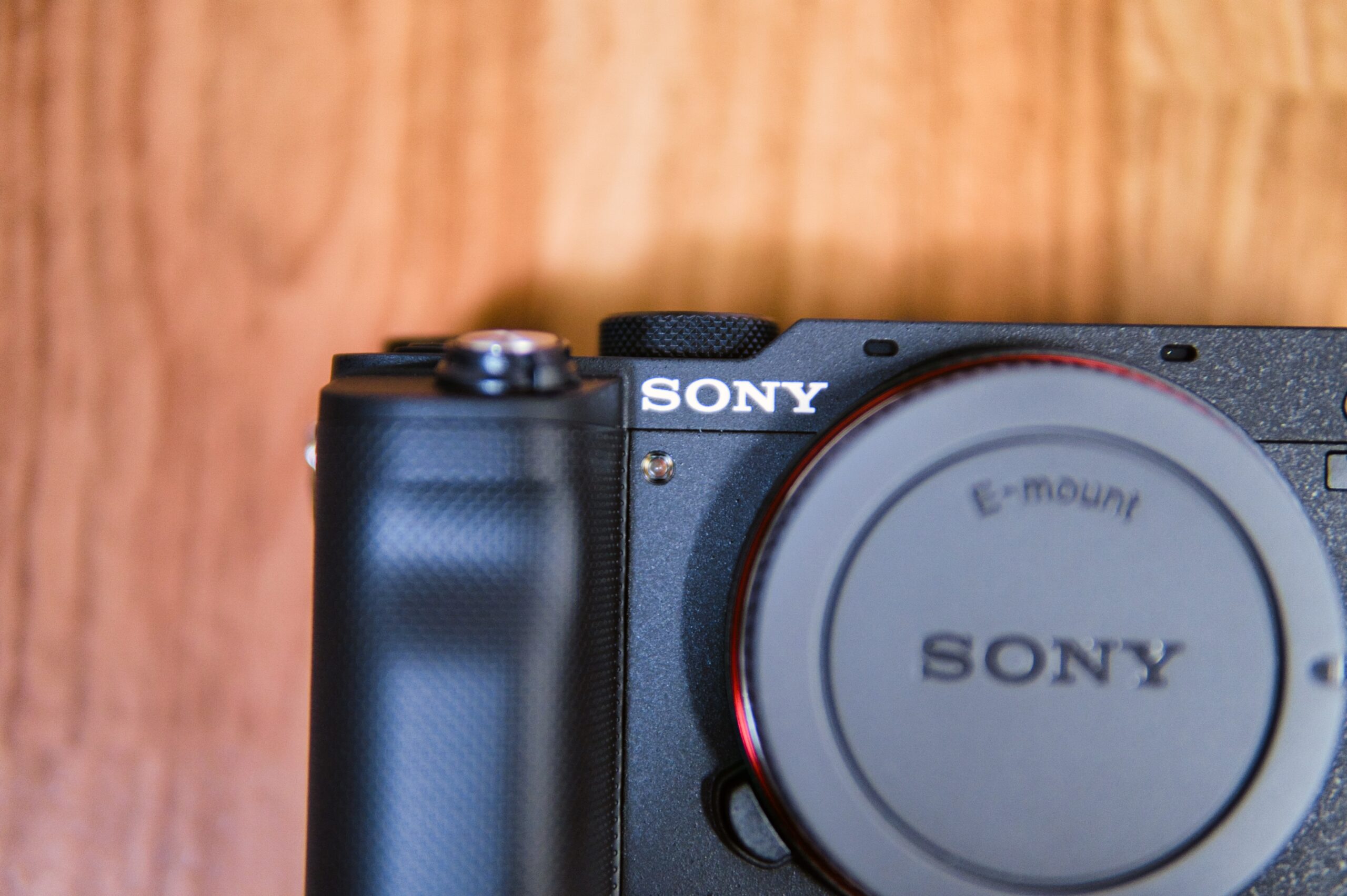 α7C のリアルタイム瞳AFで捉えたカット